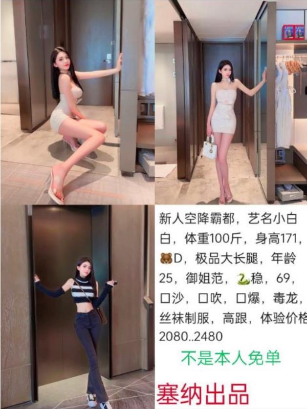 塞纳-小白鬼谷子优选鬼谷子优选